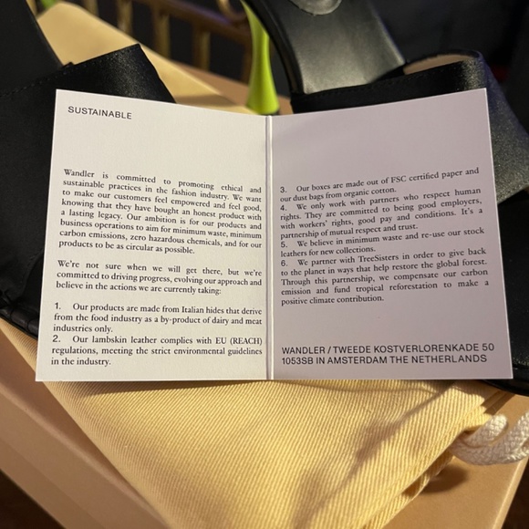 Wandler Sandals Black Satin - Picture 8 of 11